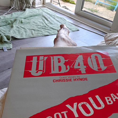 Ub40 got you babe black - you,