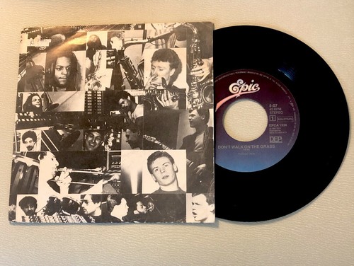 Ub40 don walk the grass - walk, on